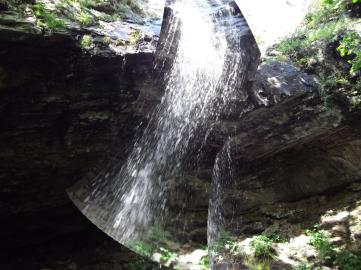 cage transformation effect GIMP